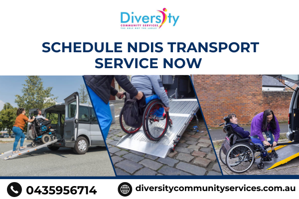 missed-rides-again-schedule-ndis-transport-service-now-easily-big-0