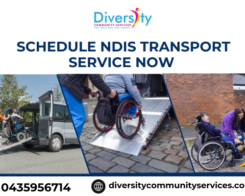 missed-rides-again-schedule-ndis-transport-service-now-easily