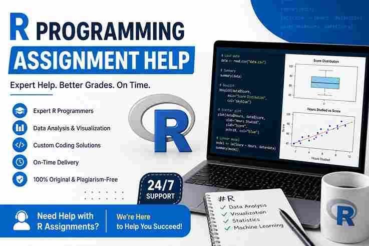 professional-r-programming-assignment-help-for-students-big-0