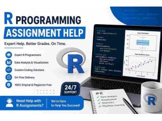 professional-r-programming-assignment-help-for-students-small-0