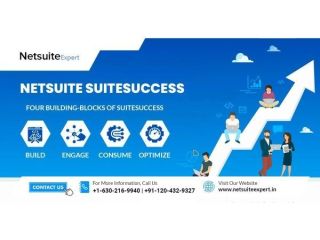 enterprise-growth-through-netsuite-suitesuccess-services-small-0