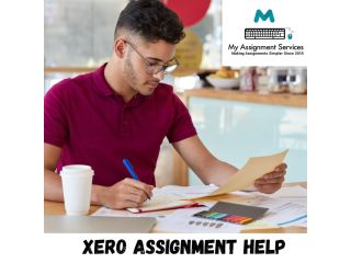 professional-xero-assignment-help-for-accounting-students-small-0