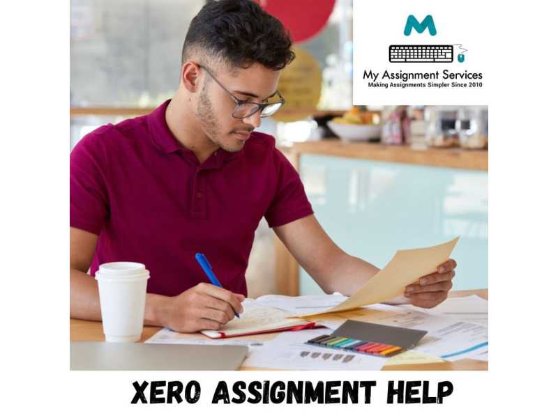 professional-xero-assignment-help-for-accounting-students-small-0