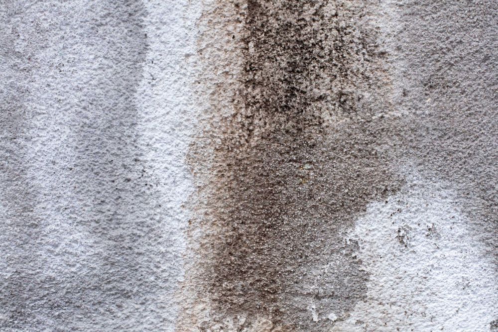 fast-reliable-water-damage-restoration-services-big-0