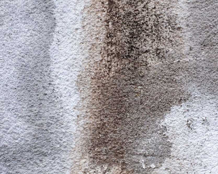 fast-reliable-water-damage-restoration-services