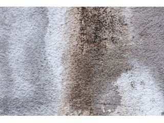 fast-reliable-water-damage-restoration-services-small-0