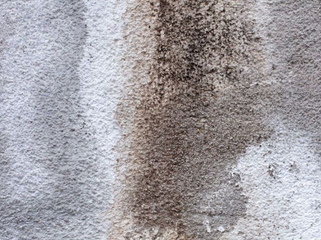 fast-reliable-water-damage-restoration-services