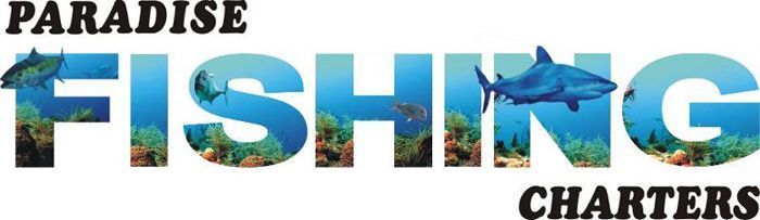 gold-coast-charter-boat-fishing-big-0