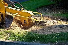 land-clearing-services-northern-beaches-big-0