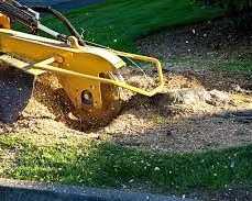 land-clearing-services-northern-beaches