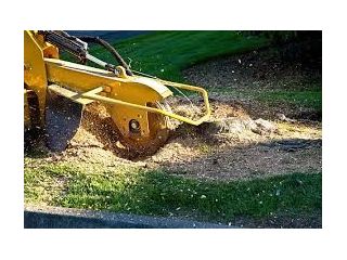 land-clearing-services-northern-beaches-small-0
