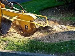 land-clearing-services-northern-beaches