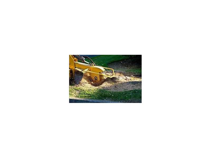 land-clearing-services-northern-beaches-small-0