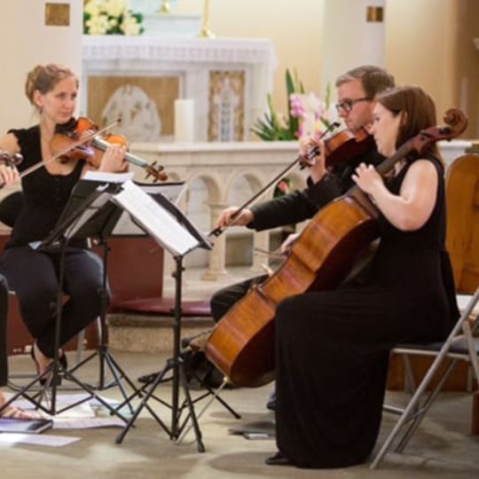 beautiful-string-quartet-hobart-string-musicians-australia-big-0