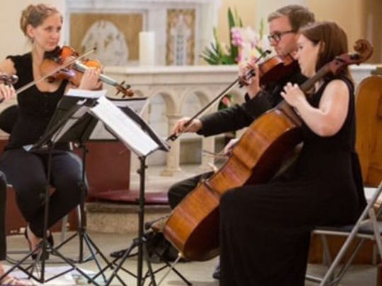beautiful-string-quartet-hobart-string-musicians-australia