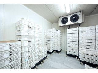 delaying-repairs-will-cost-you-more-fix-coolroom-today-small-4