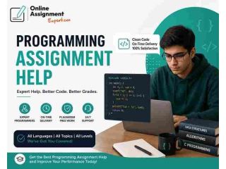 get-30-off-programming-assignment-help-small-0