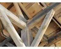 best-building-and-pest-pre-purchase-inspection-in-charlestown