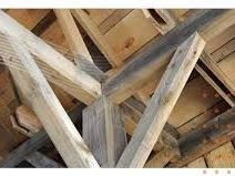 best-building-and-pest-pre-purchase-inspection-in-charlestown