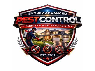 spiders-control-sydney-small-0