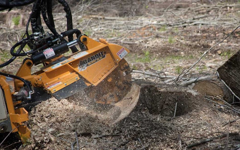 expert-tree-services-sydney-big-0