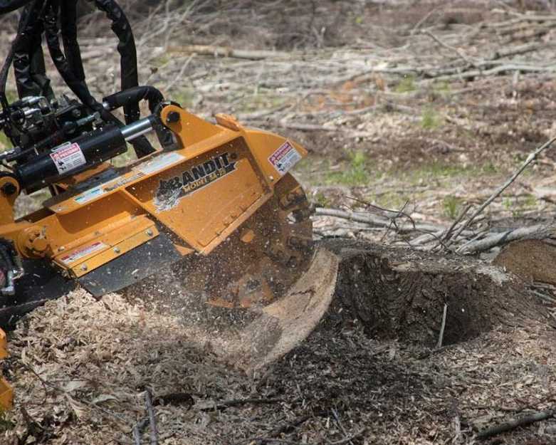 expert-tree-services-sydney