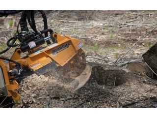 expert-tree-services-sydney-small-0