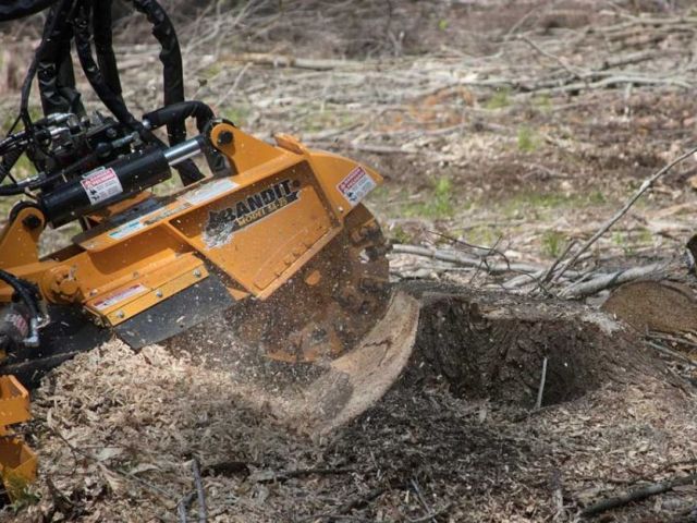 expert-tree-services-sydney