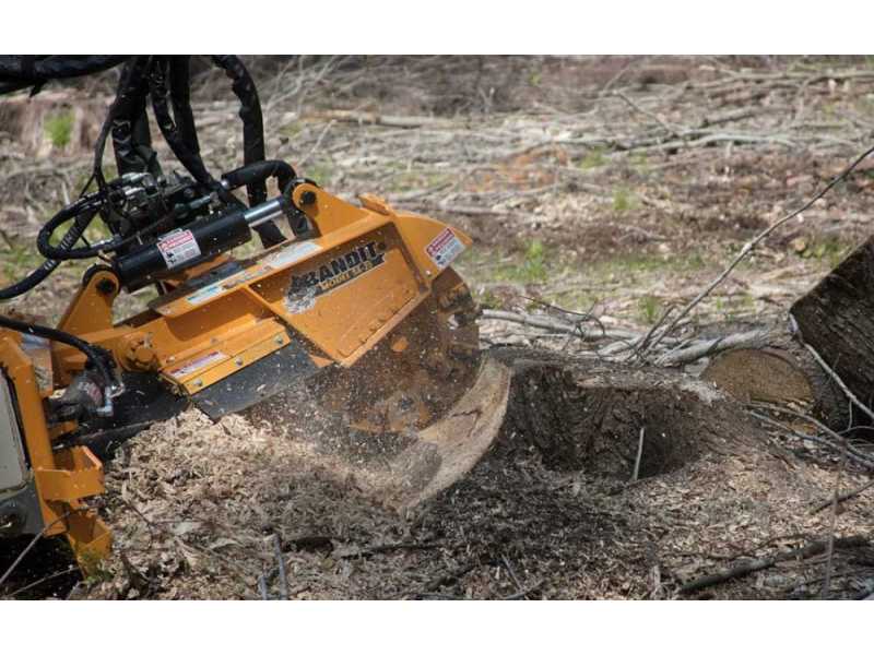 expert-tree-services-sydney-small-0
