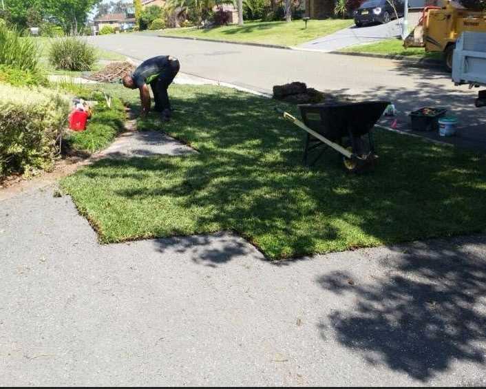 tree-care-services-sydney