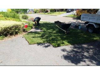 tree-care-services-sydney-small-0