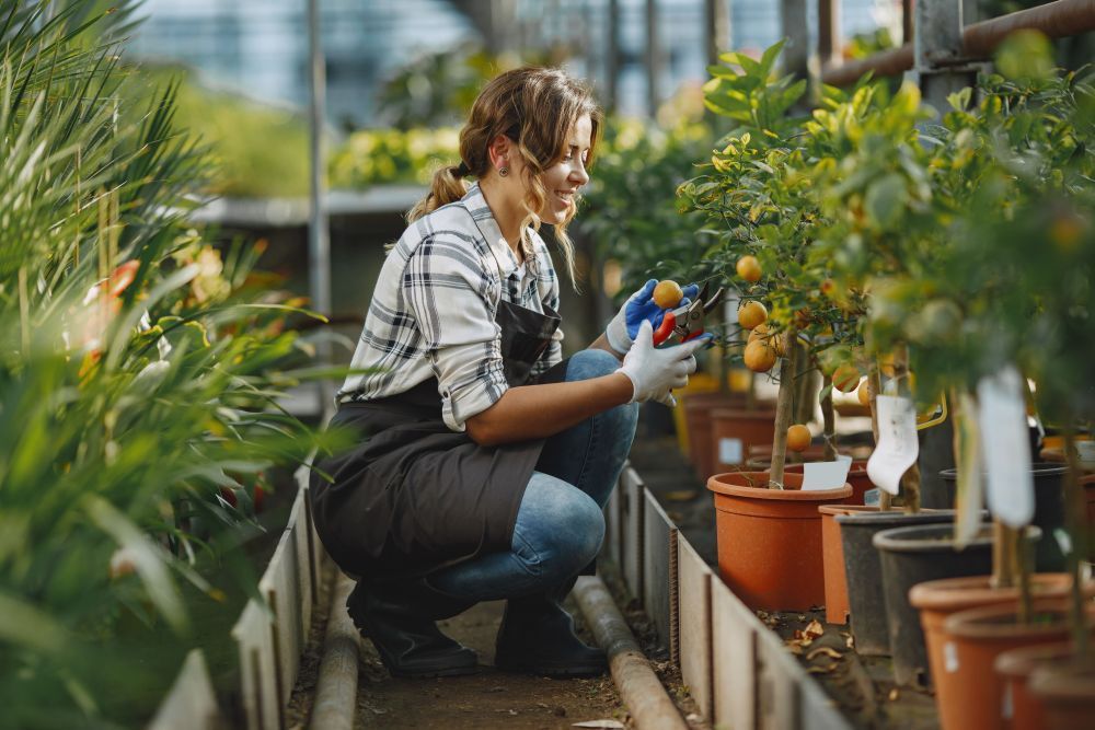 maximize-farm-profits-professional-agricultural-consulting-big-0