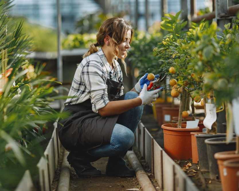 maximize-farm-profits-professional-agricultural-consulting