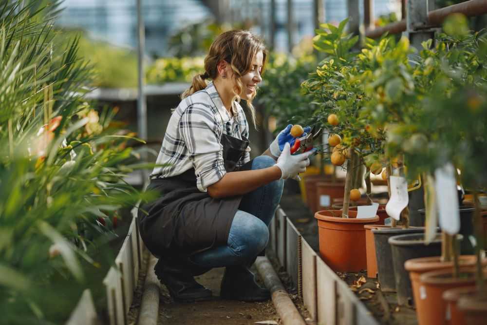 maximize-farm-profits-professional-agricultural-consulting-big-0
