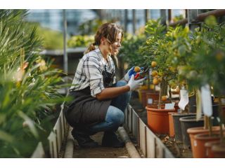 maximize-farm-profits-professional-agricultural-consulting-small-0