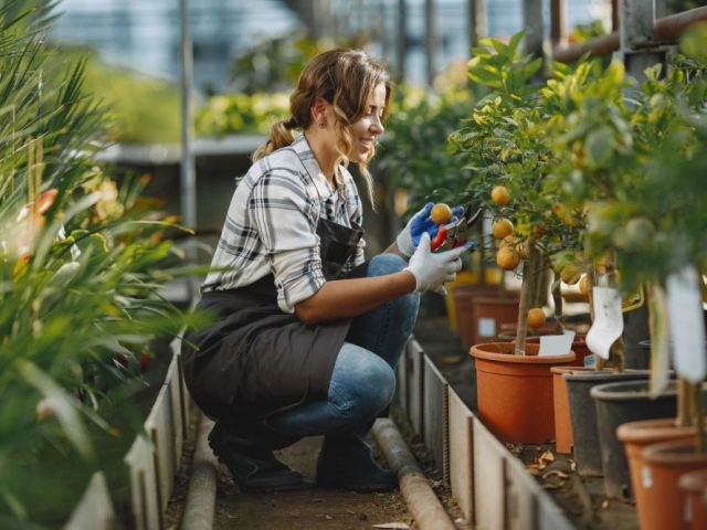 maximize-farm-profits-professional-agricultural-consulting