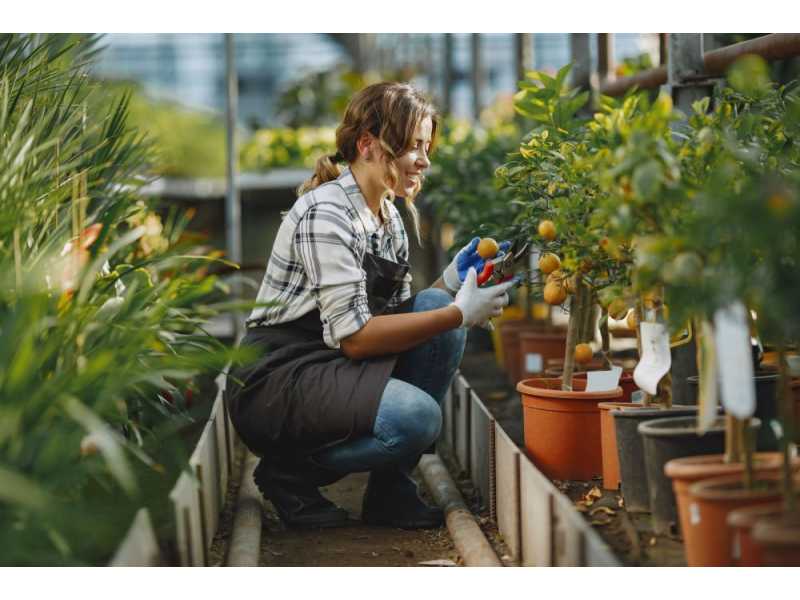 maximize-farm-profits-professional-agricultural-consulting-small-0