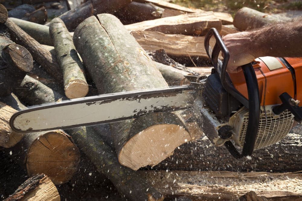 stump-removal-adelaide-affordable-professional-stump-grinding-big-0