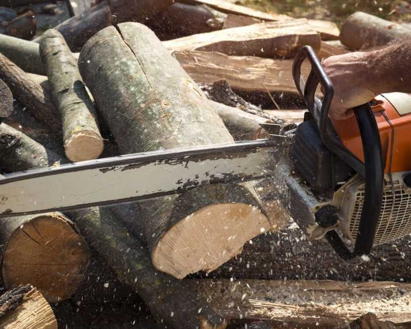 stump-removal-adelaide-affordable-professional-stump-grinding