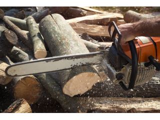 stump-removal-adelaide-affordable-professional-stump-grinding-small-0