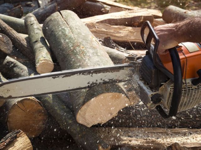stump-removal-adelaide-affordable-professional-stump-grinding