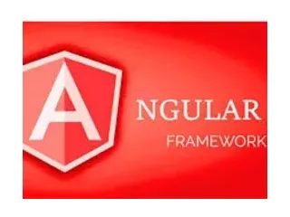 hire-angularjs-programmers-india-small-0