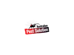 australian-pest-solution