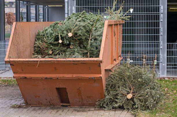 big-bins-small-prices-tango-the-trash-save-cash-big-0