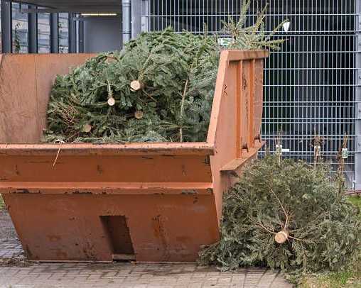 big-bins-small-prices-tango-the-trash-save-cash