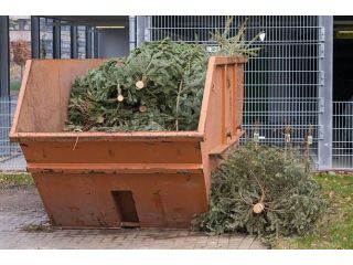big-bins-small-prices-tango-the-trash-save-cash-small-0