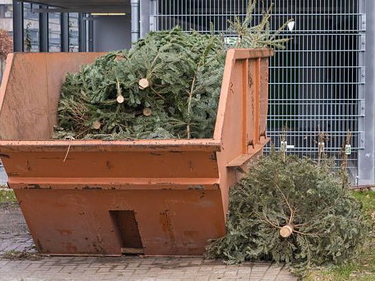 big-bins-small-prices-tango-the-trash-save-cash