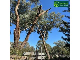 professional-arborist-services-melbourne-for-safe-tree-care-small-0