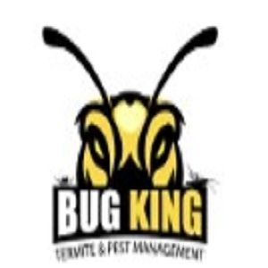 the-bug-king-big-0