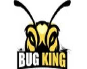 the-bug-king